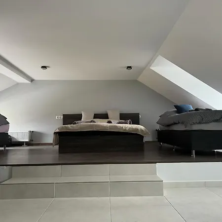 Tuenderrozsa Vendeghaz *